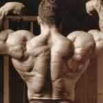 Dorian Yates’ Back Workout