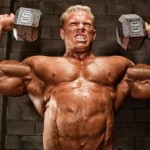 Shoulders Of The Wolf