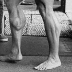 Arnold’s Calf Input