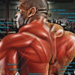 A One-Minute Lesson On Getting Bigger Traps