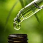 How CBD Oil Helps To Boost Your Immune System
