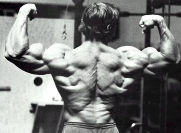 Build A Back Like Arnold’s