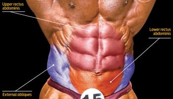 The Top Five Ab-Training Mistakes And How To Correct Them