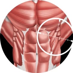 Power Crunches Build Chiseled Obliques