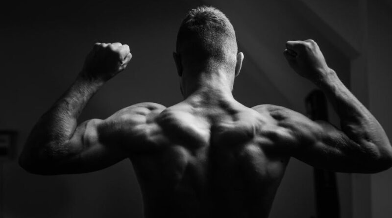 Best Traps Muscle Exercises For Beginners